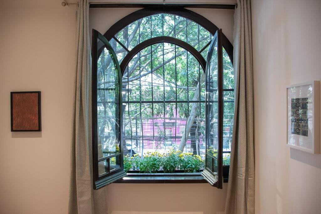 Charming Aparment In The Vibrant Condesa Apartment *