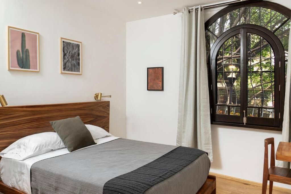 Charming Aparment In The Vibrant Condesa Mexico City
