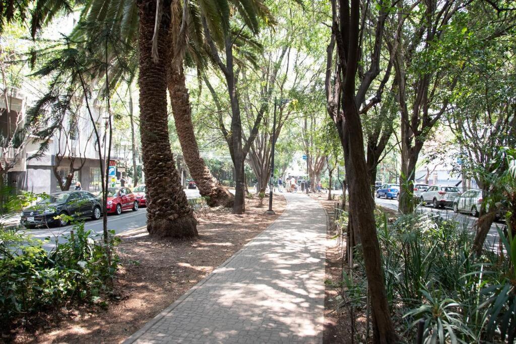 Charming Aparment In The Vibrant Condesa