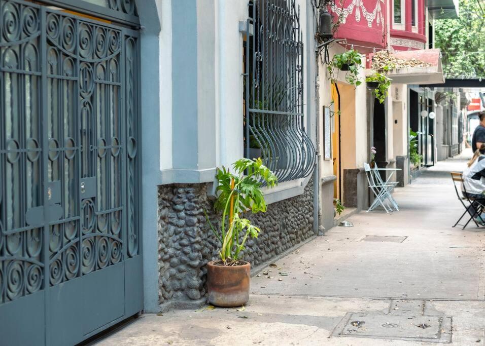 Apartment Charming Aparment In The Vibrant Condesa *
