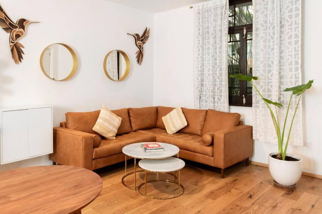 Charming Aparment In The Vibrant Condesa Apartment